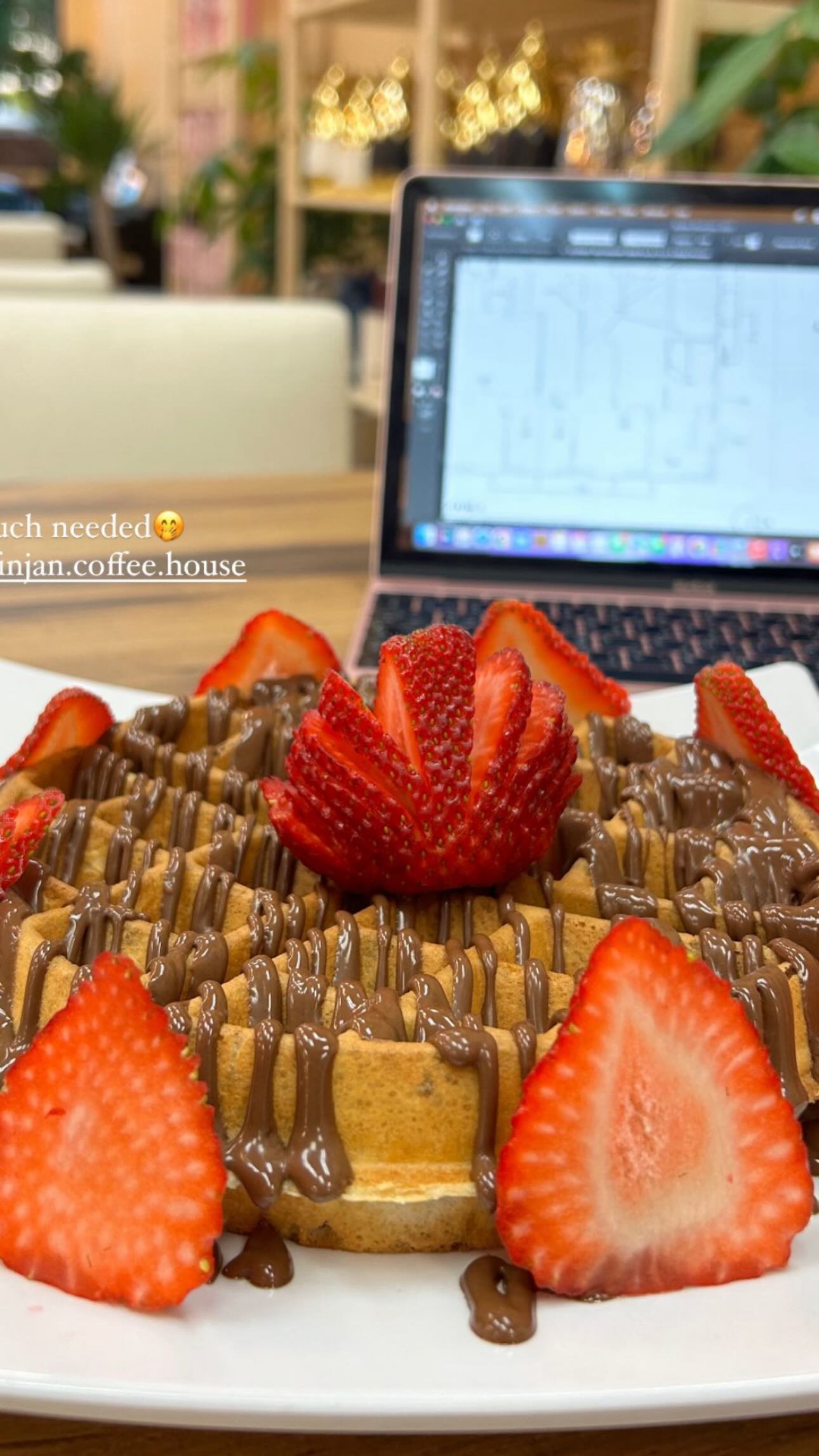 Nutella waffle with strawberries at Finjan Coffee House